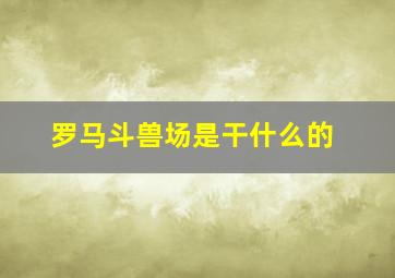 罗马斗兽场是干什么的