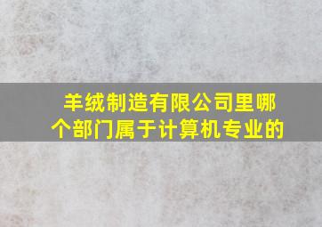 羊绒制造有限公司里哪个部门属于计算机专业的