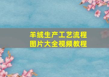 羊绒生产工艺流程图片大全视频教程