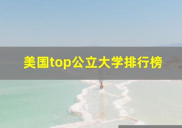 美国top公立大学排行榜