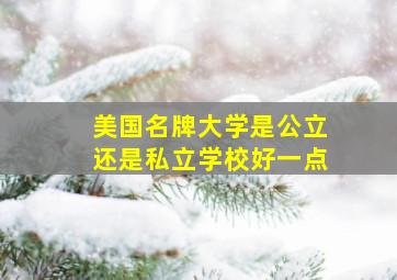 美国名牌大学是公立还是私立学校好一点