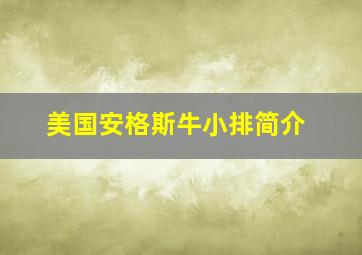 美国安格斯牛小排简介