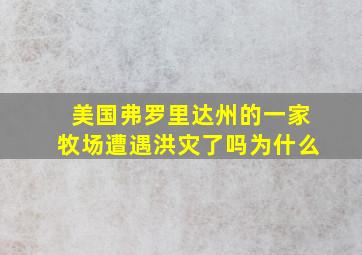 美国弗罗里达州的一家牧场遭遇洪灾了吗为什么