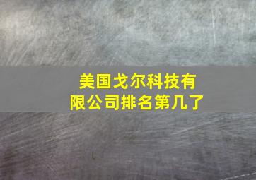 美国戈尔科技有限公司排名第几了