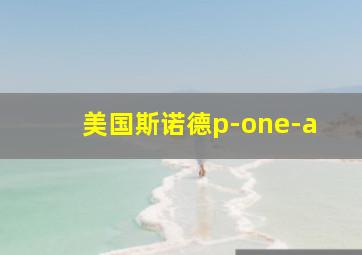 美国斯诺德p-one-a