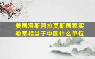 美国洛斯阿拉莫斯国家实验室相当于中国什么单位