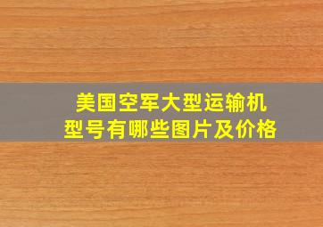 美国空军大型运输机型号有哪些图片及价格