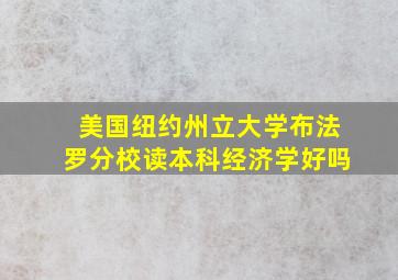 美国纽约州立大学布法罗分校读本科经济学好吗