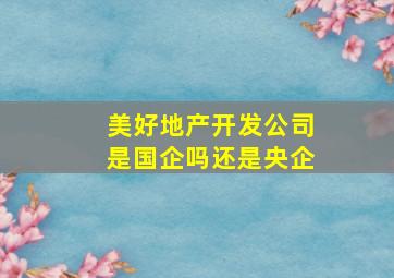 美好地产开发公司是国企吗还是央企