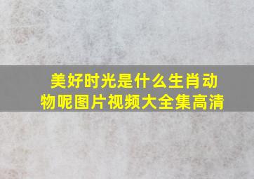 美好时光是什么生肖动物呢图片视频大全集高清