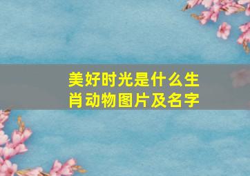 美好时光是什么生肖动物图片及名字