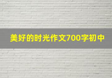 美好的时光作文700字初中