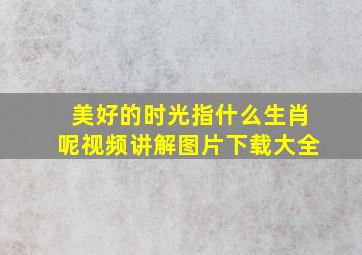 美好的时光指什么生肖呢视频讲解图片下载大全