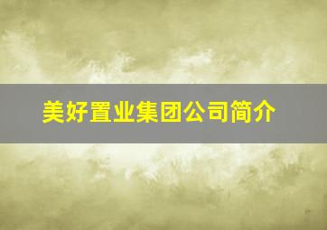 美好置业集团公司简介