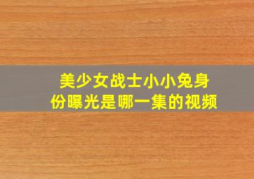 美少女战士小小兔身份曝光是哪一集的视频