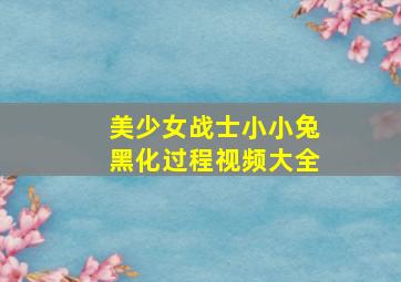 美少女战士小小兔黑化过程视频大全