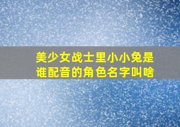 美少女战士里小小兔是谁配音的角色名字叫啥