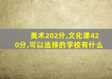 美术202分,文化课420分,可以选择的学校有什么