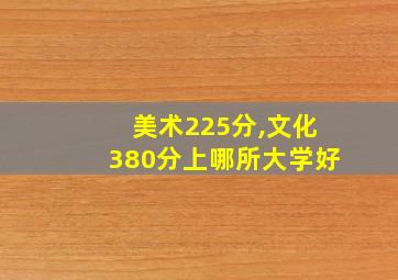 美术225分,文化380分上哪所大学好