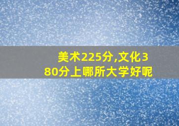 美术225分,文化380分上哪所大学好呢