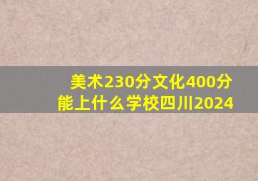 美术230分文化400分能上什么学校四川2024