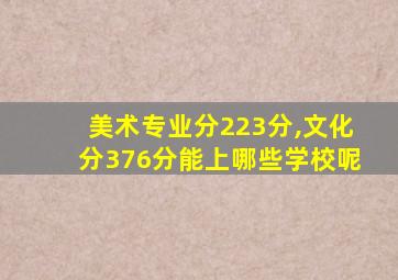 美术专业分223分,文化分376分能上哪些学校呢