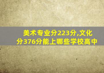 美术专业分223分,文化分376分能上哪些学校高中