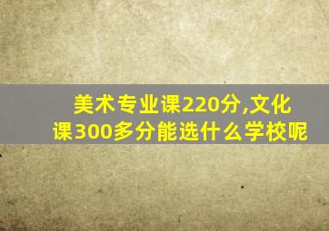 美术专业课220分,文化课300多分能选什么学校呢