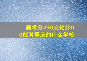 美术分230文化分00能考重庆的什么学校