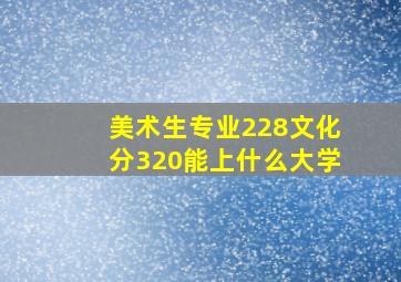 美术生专业228文化分320能上什么大学