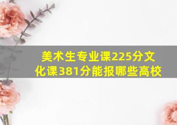 美术生专业课225分文化课381分能报哪些高校