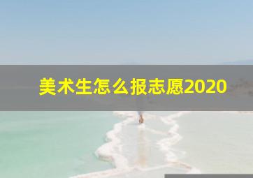 美术生怎么报志愿2020