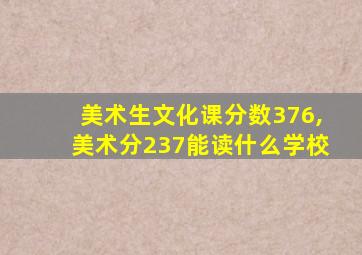 美术生文化课分数376,美术分237能读什么学校