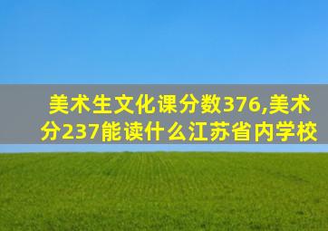 美术生文化课分数376,美术分237能读什么江苏省内学校