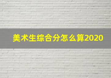 美术生综合分怎么算2020