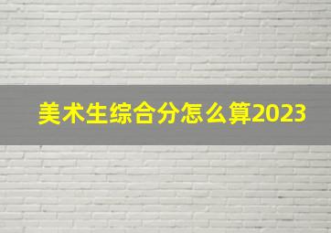 美术生综合分怎么算2023