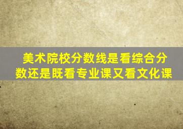 美术院校分数线是看综合分数还是既看专业课又看文化课