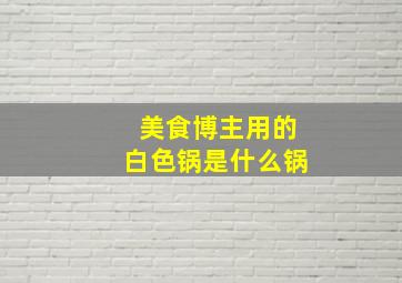 美食博主用的白色锅是什么锅