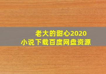 老大的甜心2020小说下载百度网盘资源