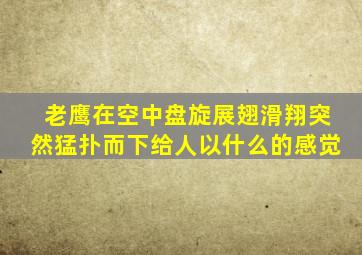 老鹰在空中盘旋展翅滑翔突然猛扑而下给人以什么的感觉