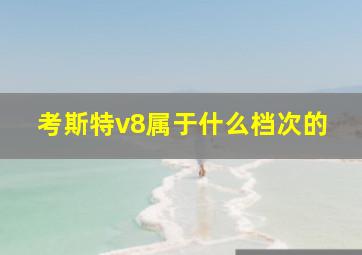 考斯特v8属于什么档次的