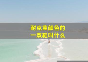 耐克黄颜色的一双鞋叫什么