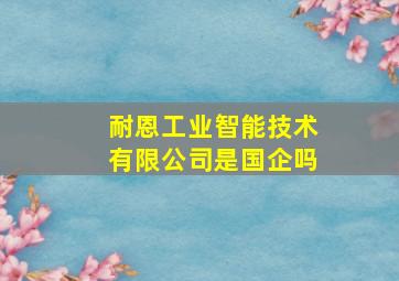 耐恩工业智能技术有限公司是国企吗