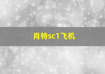 肖特sc1飞机