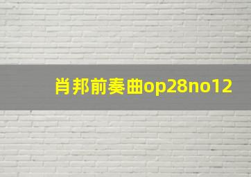 肖邦前奏曲op28no12