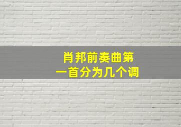 肖邦前奏曲第一首分为几个调