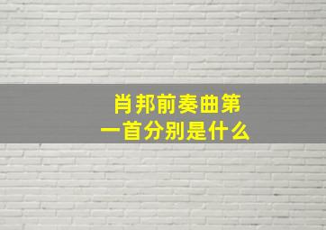 肖邦前奏曲第一首分别是什么