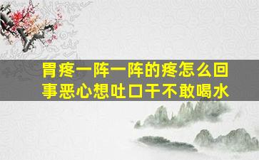 胃疼一阵一阵的疼怎么回事恶心想吐口干不敢喝水