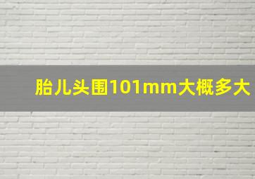 胎儿头围101mm大概多大