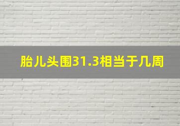 胎儿头围31.3相当于几周